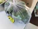 现摘新鲜圆辣椒超市即食太空椒皮厚肉多不辣水果灯笼椒 山东圆椒净重4.6斤 实拍图
