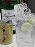 添加利伦敦干味金酒 鸡尾酒杜松子酒 洋酒750ml 调酒基酒  实拍图