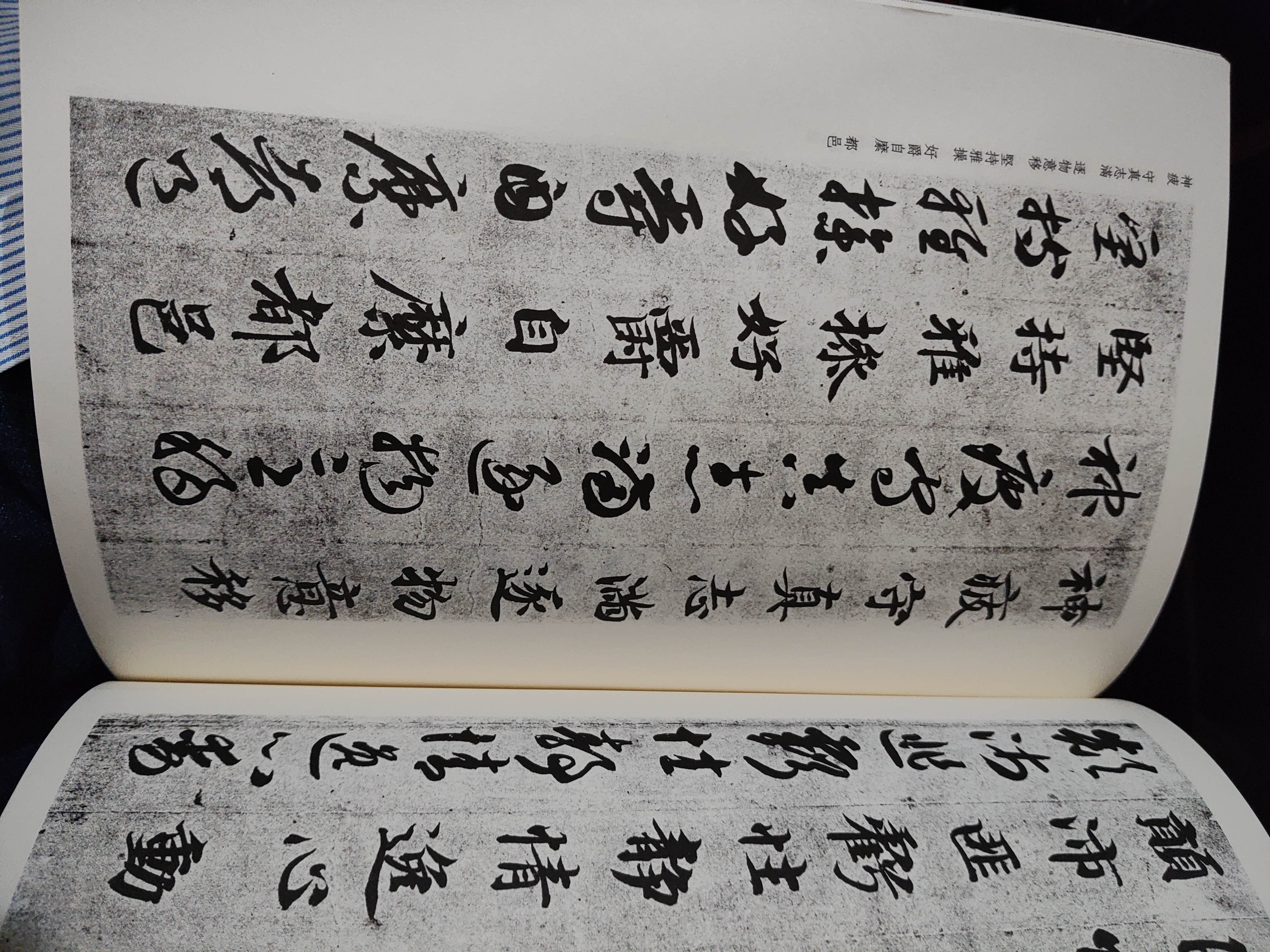 墨点字帖 智永真草千字文 初学者毛笔字草书入门 毛笔草书字帖传世碑帖精选 实拍图