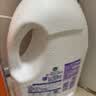 滴露（Dettol）衣物消毒液除菌松木3L 衣服消毒水99.9%杀菌除螨内衣裤配洗衣液 实拍图