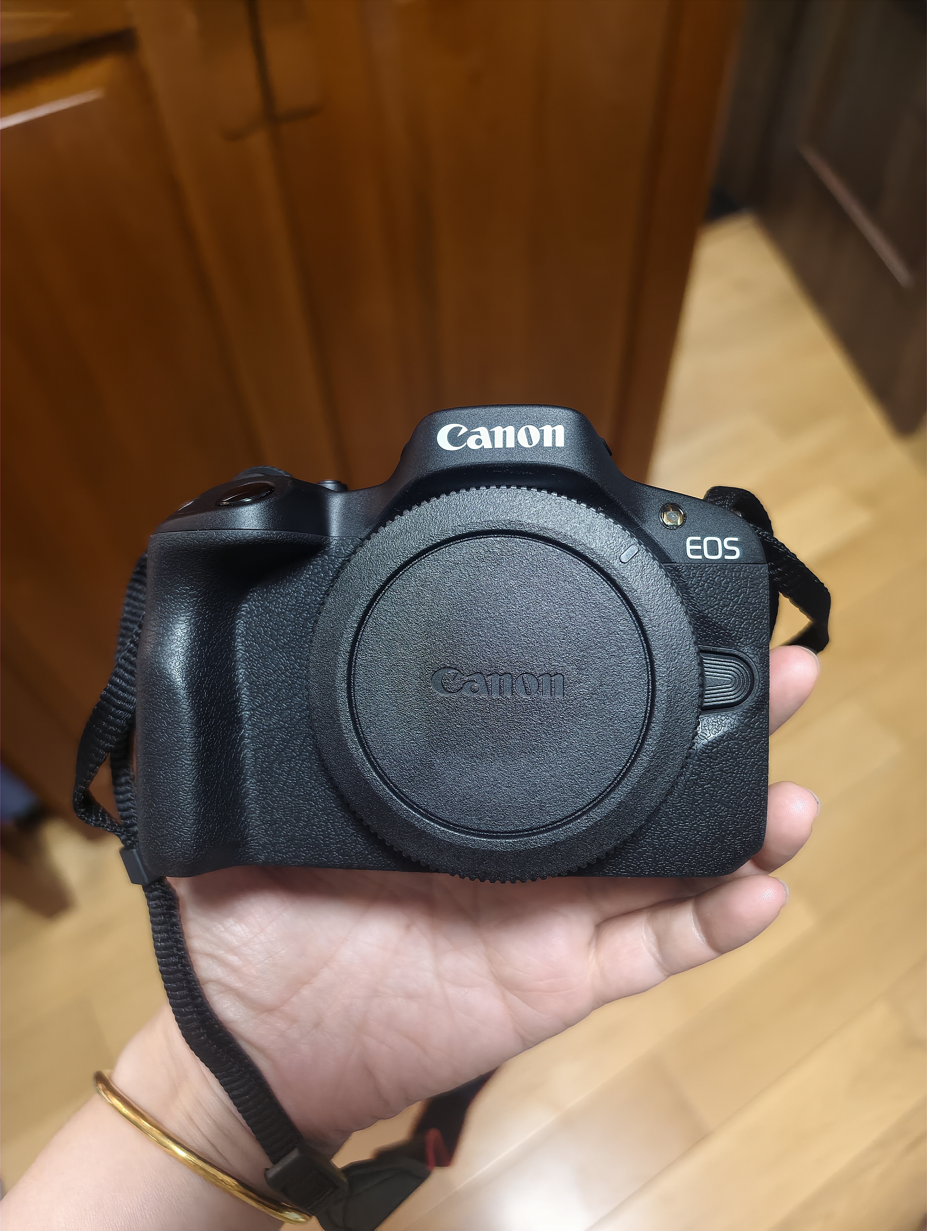 佳能（Canon）佳能r50 入门级微单相机 Vlog拍摄 4K高清视频 自拍照相 半画幅无反 学生旅行家用 扫街旅拍套装  实拍图