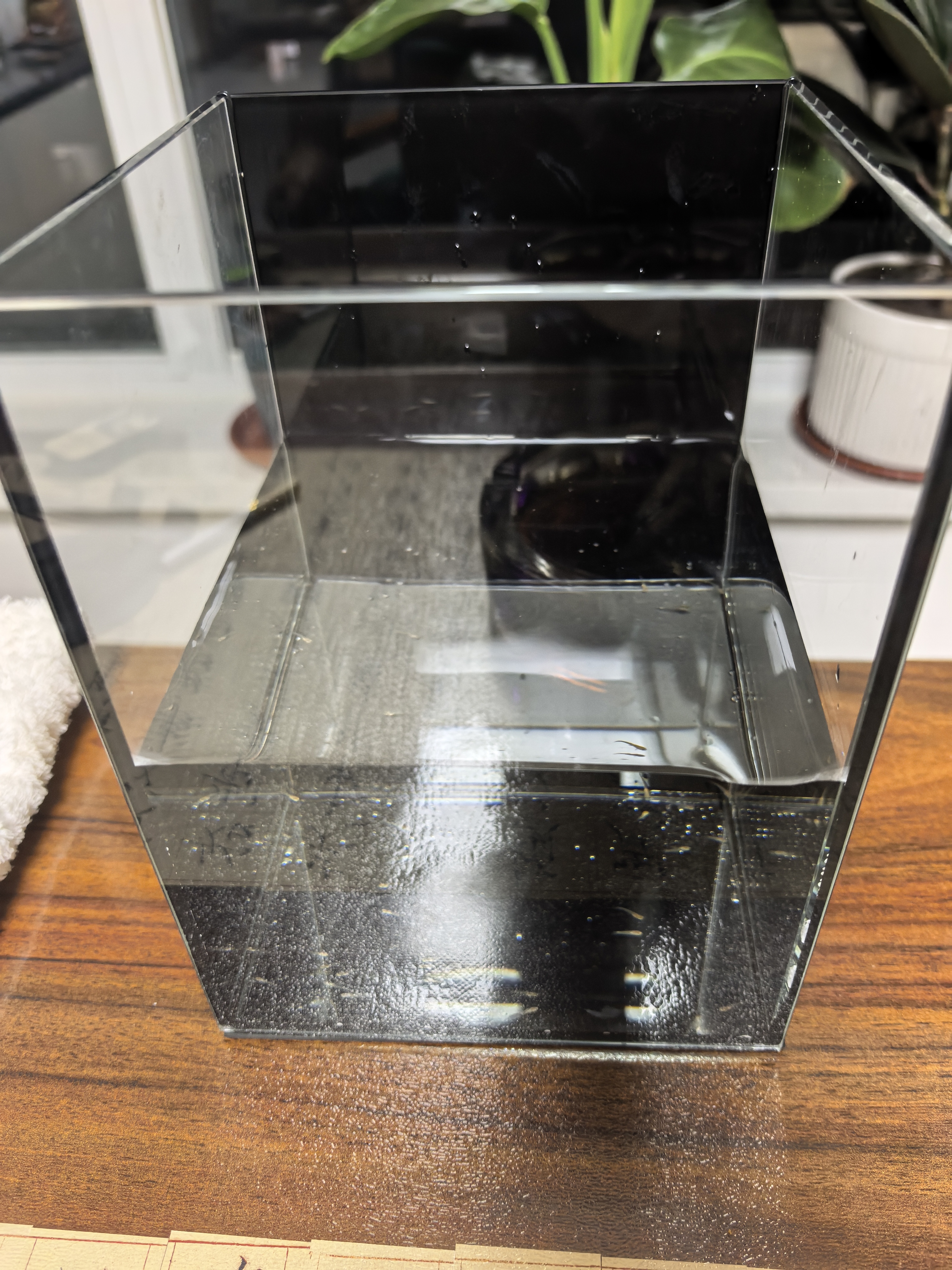 金晶超白玻璃桌面鱼缸小型家用办公室生态懒人全套造景小缸水草缸 裸缸+防滑垫 15*15*20 实拍图
