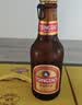青岛啤酒（TsingTao）小棕金 拉环瓶盖设计 258ml*12瓶 整箱装 中秋礼品 实拍图