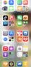 Apple/苹果/苹果 iPhone 17 256GB 黑色 支持移动联通电信5G 双卡双待手机 实拍图