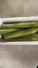 【现采现发】浙江新鲜茭白时令蔬菜带壳茭白高笋应季美食自种包邮 现采带壳茭白1.6-2斤 净重 实拍图