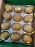 佳沛（zespri）新西兰金奇异果12粒特大果124-146g猕猴桃中秋节礼品送水果礼盒 实拍图