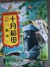 十月稻田 黑米 2斤 全谷物粗粮 五谷杂粮 低脂粗粮 黑色谷物 实拍图
