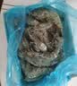 鲜京采 鲜冻大号黑虎虾 去冰净重2斤 31-40只/盒 美食大赛同款 中秋 实拍图
