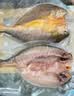 三都港 冷冻醇香黄鱼鲞500g 三去黄花鱼 生鲜 烧烤食材 海鲜 中秋礼品 实拍图