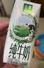 伊利【新鲜日期】金典纯牛奶200ml*24盒3.6g乳蛋白礼盒装 实拍图