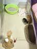 【京东物流】猫抓板磨爪猫窝一体耐磨不掉屑超大号猫玩具猫咪用品 椭圆大号+猫薄荷 实拍图