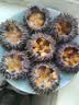 小平岛（xiaopingdao）【活鲜】黄海胆鲜活即食1斤小平岛大连海鲜海胆新鲜水产刺身 黄海胆500g(5个左右) 实拍图