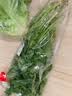 带根香菜100g 实拍图