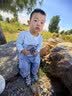 飞鹤飞帆幼儿配方奶粉3段(12-36月龄)1600g*1盒藻油DHA益生菌专利OPO 实拍图