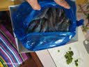 禧美海产鲜冻黑虎虾净重2斤装 规格40-50只/kg 单冻大虾 烧烤 国庆礼盒 实拍图