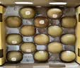 佳沛（zespri）新西兰金奇异果12粒特大果124-146g猕猴桃中秋节礼品送水果礼盒 实拍图