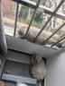 曼秀雷敦新碧户外防晒紫光屏高倍防晒霜50g清爽保湿防水汗紫外线 实拍图