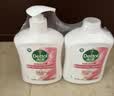 滴露（Dettol）洗手液抑菌消毒滋润500g+500g 补充装 儿童家庭护手替换装 实拍图