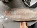 麦易优巴基斯坦冷冻舌鳎鱼龙利鱼 净重850g/(2条装)大舌头鱼塔米鱼 实拍图