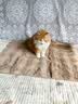 HELLOJOY猫窝垫子猫毯子冬季睡觉用宠物猫咪毛毯保暖狗窝冬日加厚兔绒睡垫 实拍图
