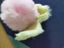 【柿子】好事发生手机挂件喜事连连正品新年情侣一生一世手机挂饰钥匙挂件女 桃你欢心 实拍图