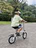 大行（DAHON） 412折叠自行车14英寸单速超轻迷你铝合金学生成人单车BYA412 白色 实拍图