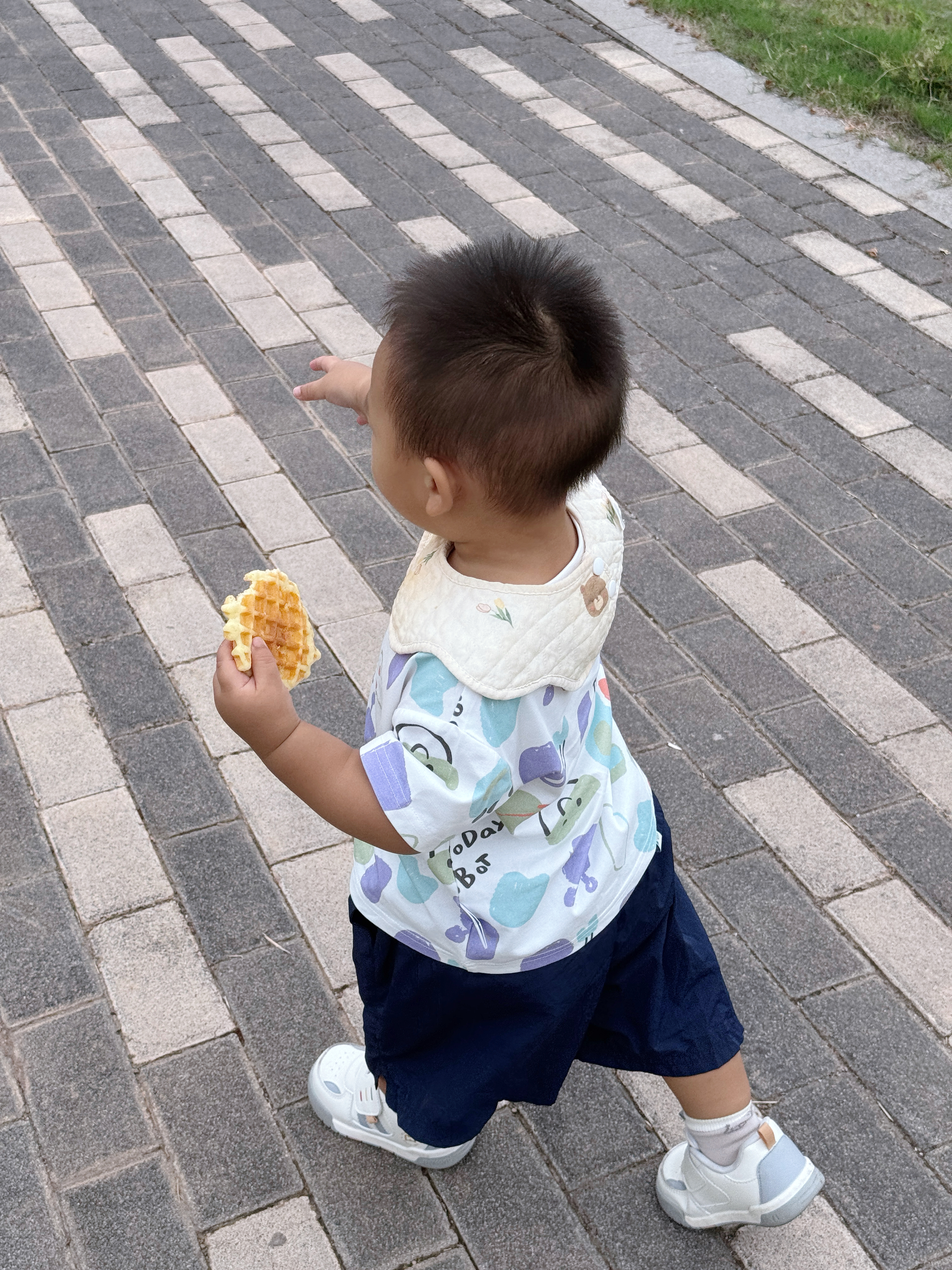 小鹿蓝蓝热销早餐宝宝鲜鸡蛋水牛乳嫩蛋糕240g+宝宝高钙黄油华夫饼420g 实拍图
