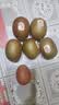 佳沛（zespri）新西兰金奇异果猕猴桃 5粒装 单果约88-103g 水果源头直发 实拍图