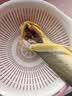 黄小渔宁德三去黄花鱼650g/2条 大黄鱼生鲜海鲜水产深海鱼清蒸烧烤 实拍图
