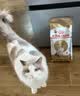 皇家（ROYAL CANIN）泌尿道全价处方猫粮MUC34（情绪舒缓）稀释尿液减少结石再生1.5KG 实拍图