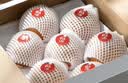 京鲜生 长城羊脂秋月梨 净重4.5斤装 大果5-7粒 单果300g+ 应季中秋水果 实拍图