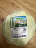 【水果菜】有机水果甘蓝500g 实拍图