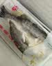 深海七星三去开背免洗海鲈鱼真空活鱼新鲜速冻清蒸高营养净重 500克-600克 开背海鲈鱼3条【三去免洗】聚划算 实拍图