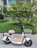 飞鸽电动自行车 E75Plus2026款新国标电动车长续航80KM铅酸电池48V21Ah智能家用电瓶车可上牌漫步白 实拍图