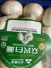 【烧烤季】白蘑菇(口蘑) 230g 实拍图