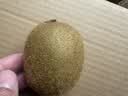 佳沛（zespri）绿奇异果10个装 宝宝果单果约80-89g猕猴桃中秋节礼品送水果礼盒 实拍图