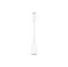 Apple/苹果 typc-c/usb-c转usb接口转换器 苹果旗舰店原装转接头u盘转换器 适用苹果iPhone17/iPad/Mac 实拍图