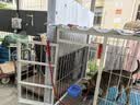 欢宠网狗绳3件套狗狗牵引绳狗项圈链子胸背带遛狗绳子中大型犬宠物用品 实拍图
