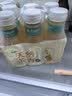 农夫山泉东方树叶桂花乌龙茶335ml*24瓶无糖茶饮料0糖0脂0卡【金秋限定】 实拍图