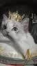 亿迪猫粮冻干幼猫成猫10斤全价英短蓝猫布偶老年猫国产通用全阶段5kg 实拍图