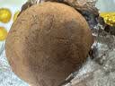 鲜京采 碱水奶酪球欧包800g/10枚 烘焙面包欧包家庭健康早餐糕点代餐中 实拍图