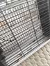 志高灭蚊灯灭蝇灯商用家用苍蝇捕捉器室内餐厅驱蚊灯诱捉电蚊子 升级三灯管-10W【约120平方】 实拍图
