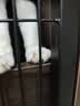 憨憨乐园猫玩具逗猫棒幼小猫猫咪磨牙玩耍耐咬互动自嗨玩具神器宠物用品 实拍图