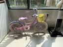 奥仕龙x迪士尼联名自行车儿童3-6岁小孩单车4-8岁公主款儿童自行车 冰雪奇缘-艾莎【后座版】礼包 16寸 适合100-120cm 实拍图