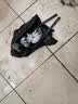 Jepoo新款日式创意马桶刷洁厕刷无死角软毛刷卫生间坐便器刷子 2个装刷毛S型款 实拍图