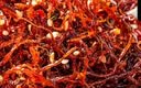 张飞灯影牛肉丝青柠味100g 四川特产 休闲零食自营解馋小吃 实拍图