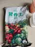 寿禾 营养土果蔬育苗泥炭通用型养花种菜多肉盆栽种植土壤 营养土3L 实拍图