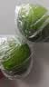 广东香水柠檬包邮新鲜水果柠檬精选皮薄奶茶店【百补优选】 香水柠檬6粒装  单果净重70g+ 实拍图