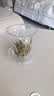 物生物（RELEA）玻璃杯男女士茶水分离杯耐高温办公泡茶杯带把高硼硅水杯花茶杯子 实拍图