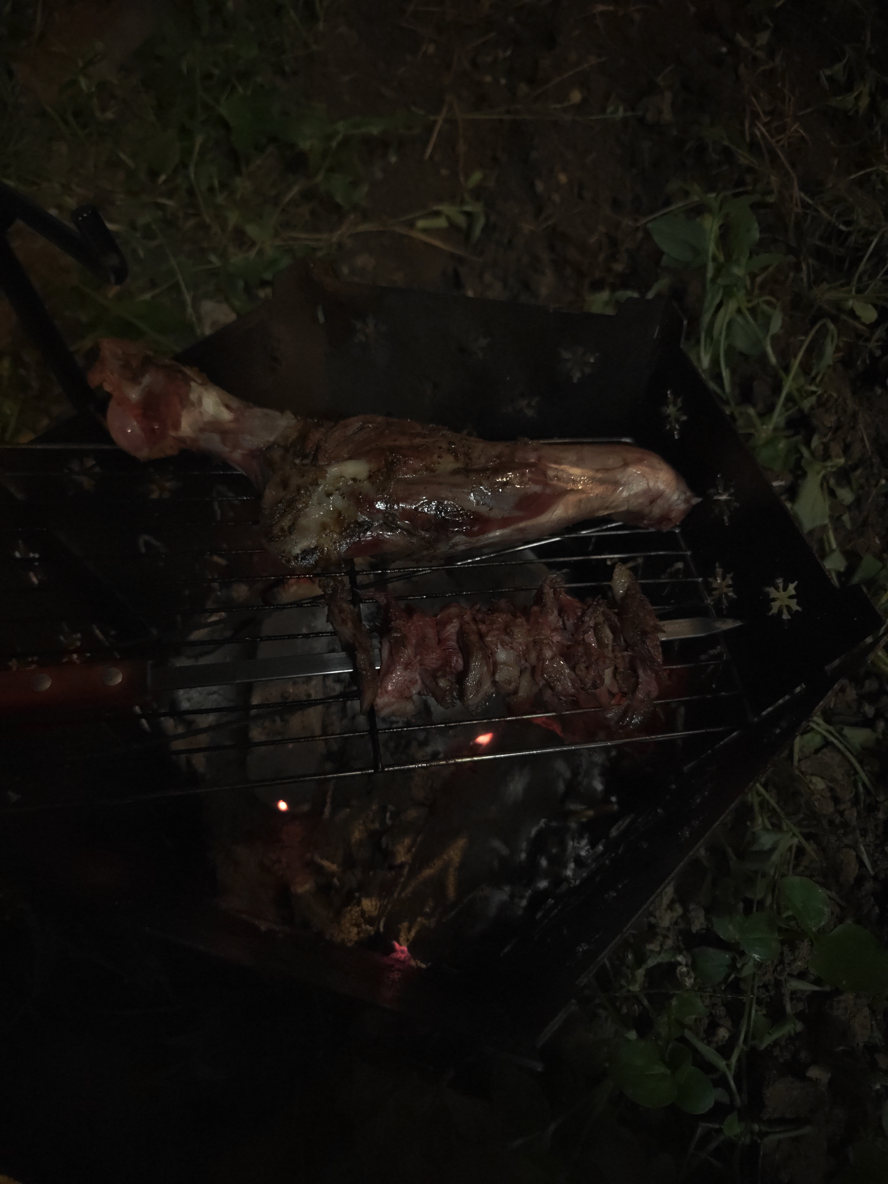 涝河桥 供港宁夏滩羊 羊前腿 3斤 原切羊腿滩羊肉生鲜烧烤食材 实拍图